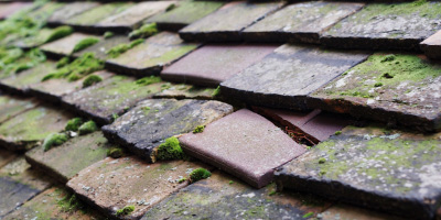 Cherry Hinton roof repair costs